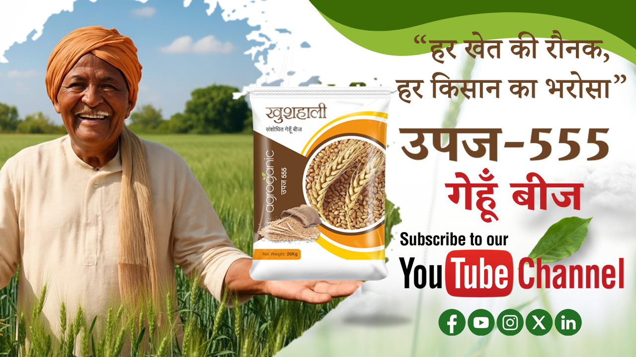 ? Where to Buy Agricultural Products Online in India – A Complete Farmer’s Guide