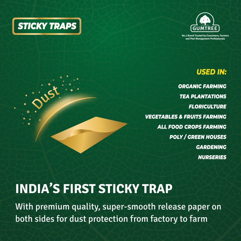 Pest Wizard | Green Sticky Traps, 4 Pack | ARBICO Organics