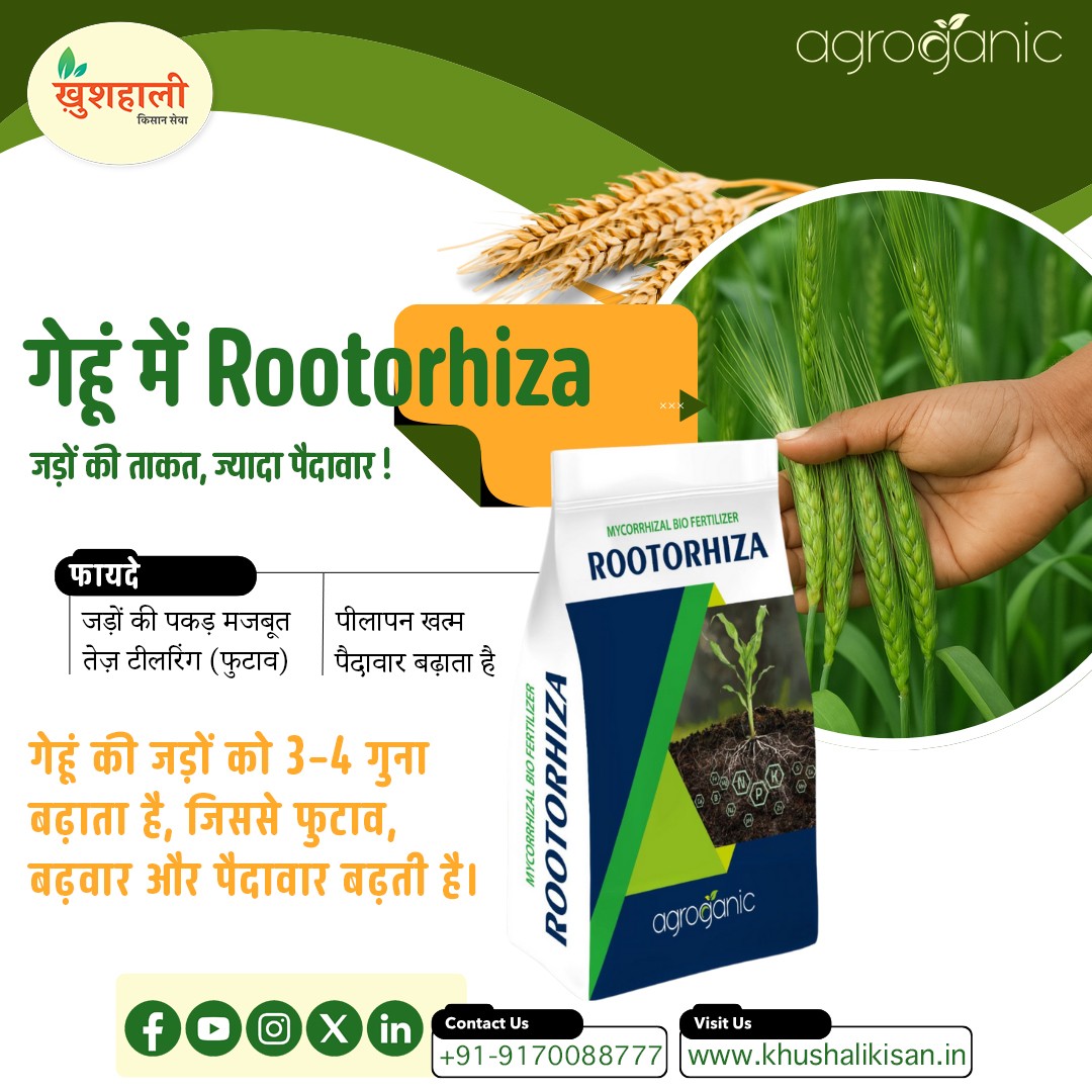 Khushali Kisan Sewa-Agriculture Assistance from Farm-to-Market promo