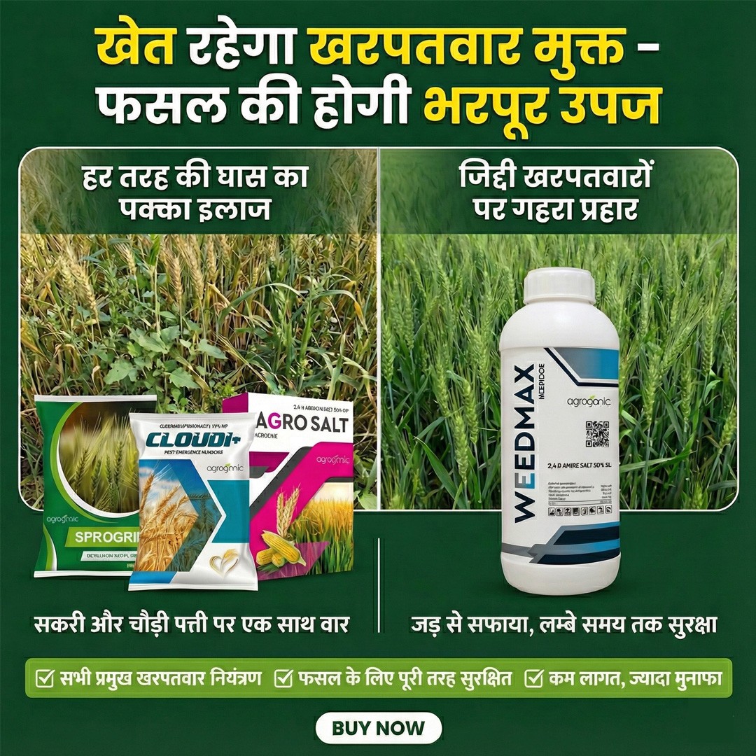 Khushali Kisan Sewa-Agriculture Assistance from Farm-to-Market promo