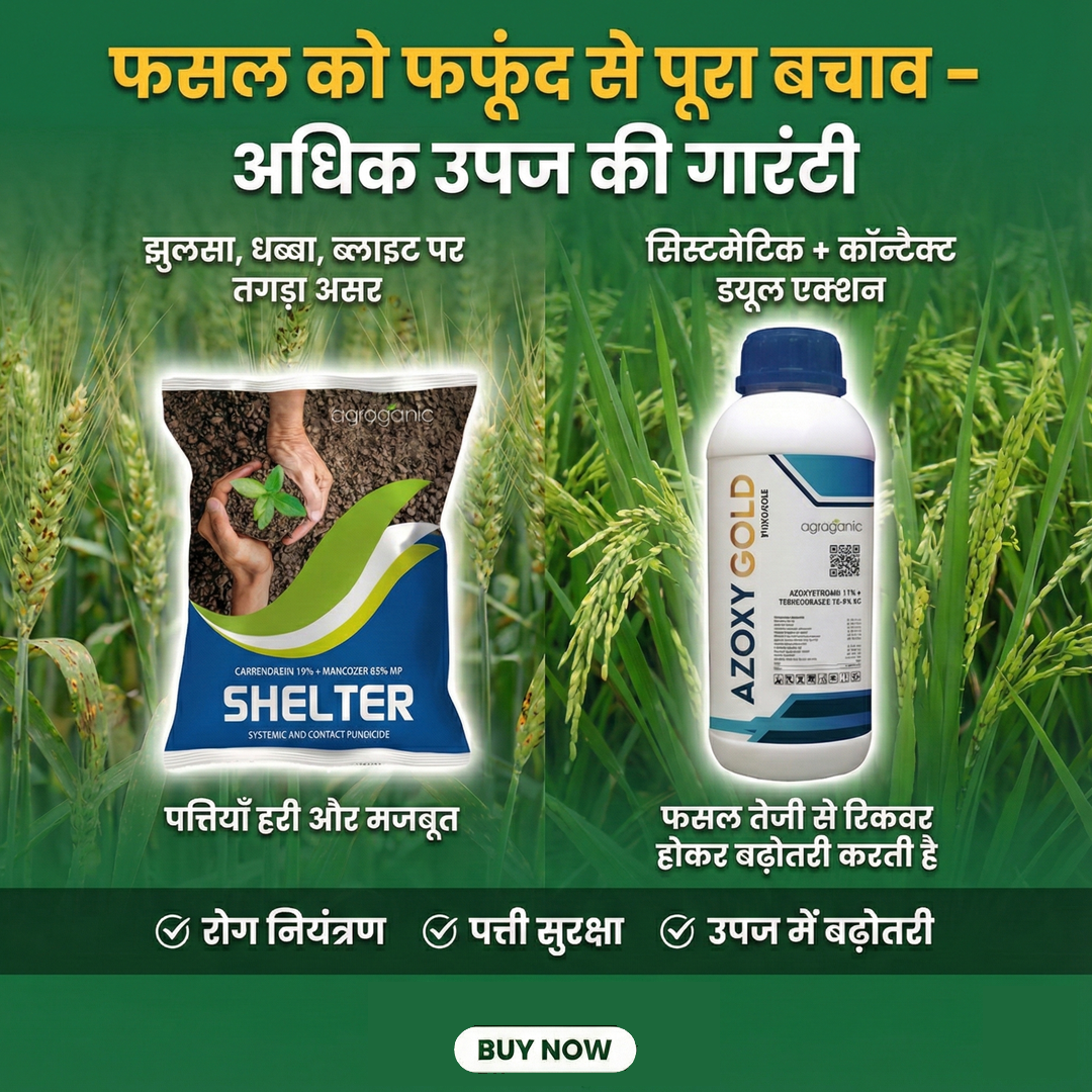 Khushali Kisan Sewa-Agriculture Assistance from Farm-to-Market promo