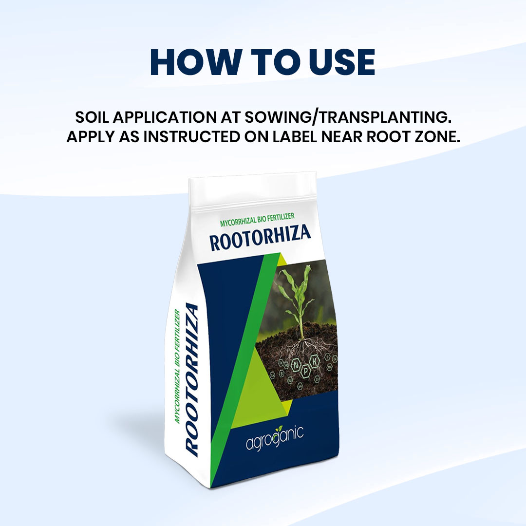 Rootorhiza - Image 4