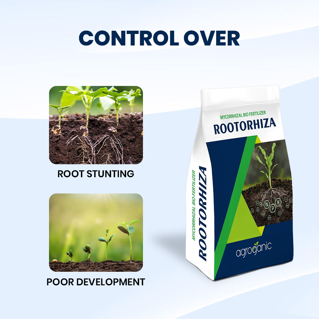 Rootorhiza - Image 3